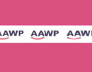 AAWP Plugin For Amazon Affiliate Installation
