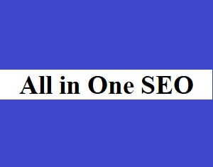 All in One SEO (AIOSEO) Plugin License Activation