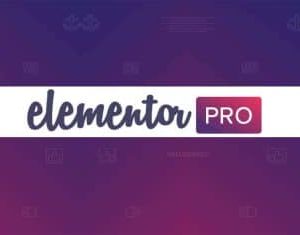 Elementor Pro Installation & License Activation