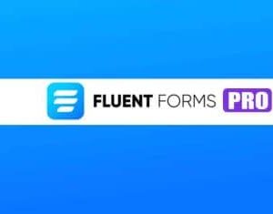 Fluent Form Pro Installation & License Key Activation