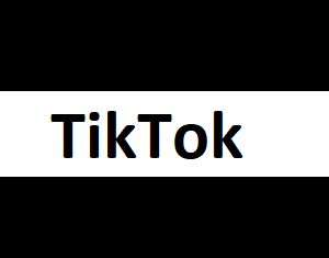 TikTok Followers | Non Drop | Lifetime - 1000