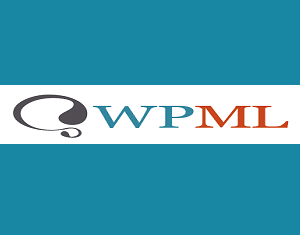 WP ML Pro Installation & Activation (Multilingual)