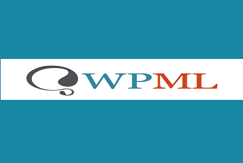 WP ML Pro Installation & Activation (Multilingual)