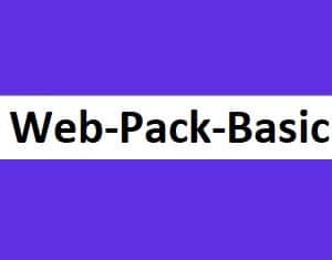 Website Design - Package : Basic